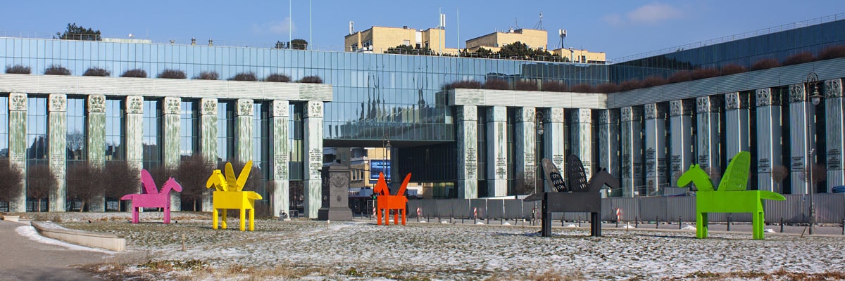 Espresso z adwokatem - skarga nadzwyczajna